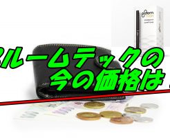 ploomtechの価格