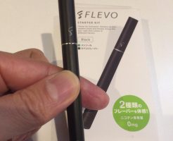 flevoの口コミと評価