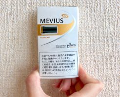 プルームテックのレギュラー味