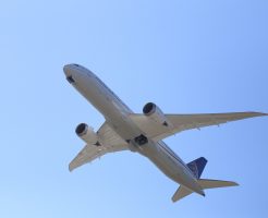 グローの海外持ち込み